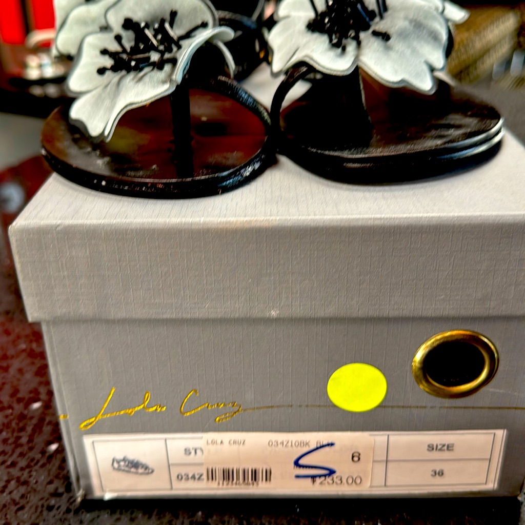 Lola Cruz Sandal, Ankle Strap, Flower Shoes
